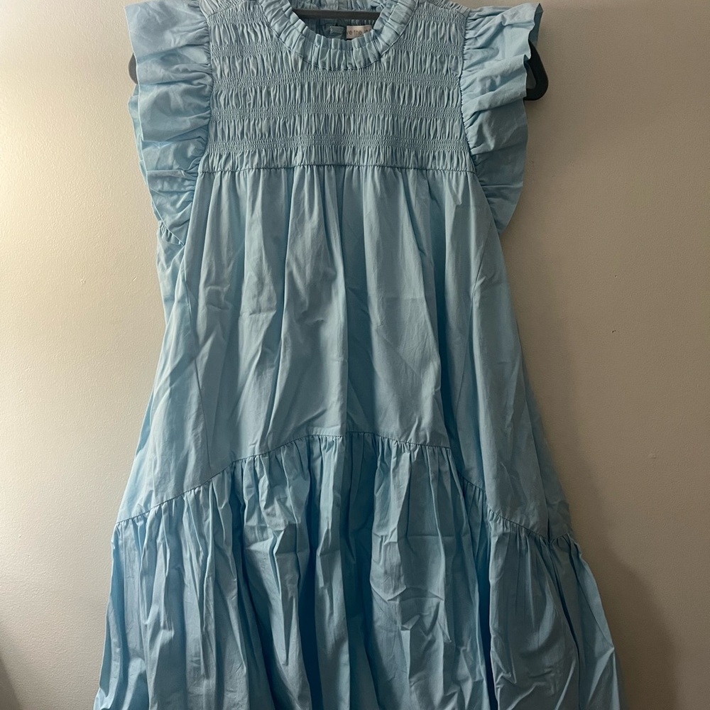 Lovely Light Blue Dress with Ruffled Sleeves (the Viola Dress by Love the Label)